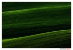 Paesaggio minimale Paesaggio minimale