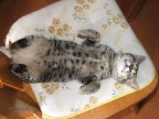 Di schiena si dorme meglio Di schiena si dorme meglio