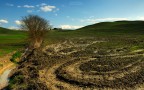 Terre di Siena 2 Terre di Siena 2