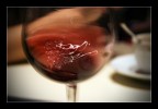 vino vino