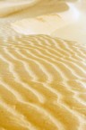 Dune Dune