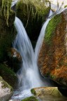 torrente torrente