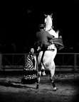 Il cavaliere e la dama Il cavaliere e la dama