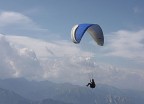 volareee volareee