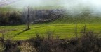 Paesaggio 1 Paesaggio 1