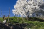 Paesaggio 3 Paesaggio 3