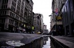 puddle in NY puddle in NY