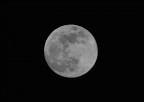 luna piena luna piena