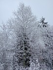 Inverno Inverno