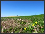 appennino appennino