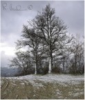 Neve di primavera Neve di primavera