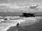 una rotonda sul mare..... una rotonda sul mare.....