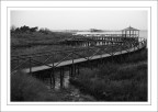 ... ...