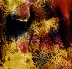 Analogica, cibachrome, copia unica stampata a mano.
Anno:1981 - Vintage print
Hasselblad 500 ELM - 80 mm + tubi di prolunga -
Agfachrome 50