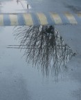 riflessi.. riflessi..