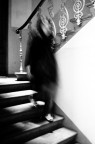 .: in interni :. .: in interni :.