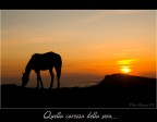 Quela carezza della sera Quela carezza della sera