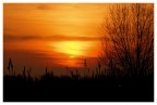 Tramonto tra il canneto