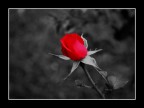 una luce.... nell'oscurità.... una luce.... nell'oscurità....