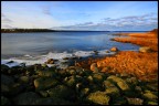 Svezia... Svezia...