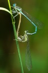 Un cuore nella natura Un cuore nella natura