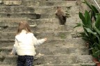 Il gatto con gli stivali... Il gatto con gli stivali...