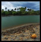 Rio Miel Rio Miel