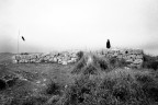 .... ....