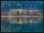 Reflections in the lake Reflections in the lake