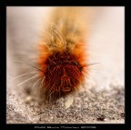 Oggi mi sento punk!!