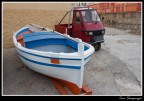 trasporti trasporti