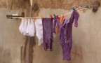Quest'anno va di moda il viola... Quest'anno va di moda il viola...