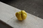 limone limone