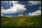 Spring Time Spring Time