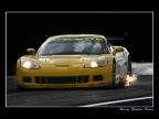 Corvette C6-Ritorno di fiamma Corvette C6-Ritorno di fiamma