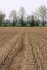 La mia terra La mia terra