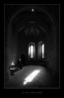 la luce della fede la luce della fede