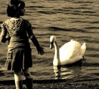 Lago di Bracciano - Anguillara