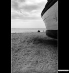 ::: IN ATTESA DELL'ESTATE :::