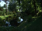 ninfa ninfa