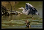 Equlibrio instabile Equlibrio instabile