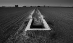 Canale Canale