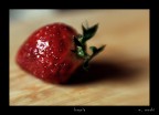 fragola.. fragola..