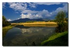 Oasi WWF di Focognano - Campi Bisenzio (FI) Oasi WWF di Focognano - Campi Bisenzio (FI)