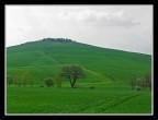 La collina La collina