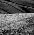 paesaggio paesaggio