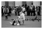 Contemplando Contemplando