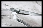 Crepe nel Ghiaccio Crepe nel Ghiaccio