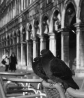 s.marco s.marco
