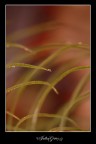 linee incrociate linee incrociate
